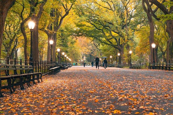 Visite à pied en solo "Central Park Movie Tour" autoguidée à New York