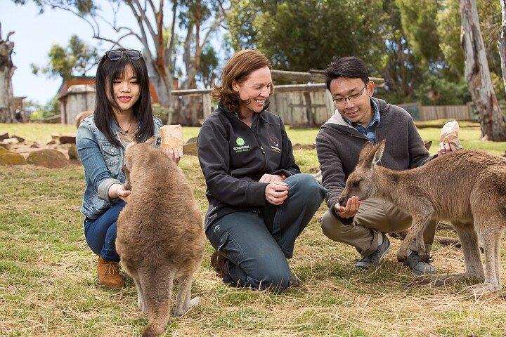 Bonorong Wildlife Park e Richmond Afternoon Tour da Hobart