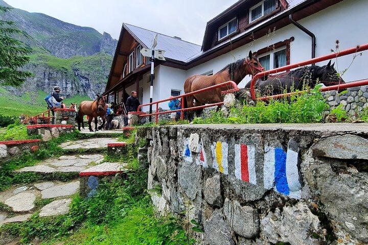 Caminhada privada de um dia de Brasov a Malaiesti Cottage