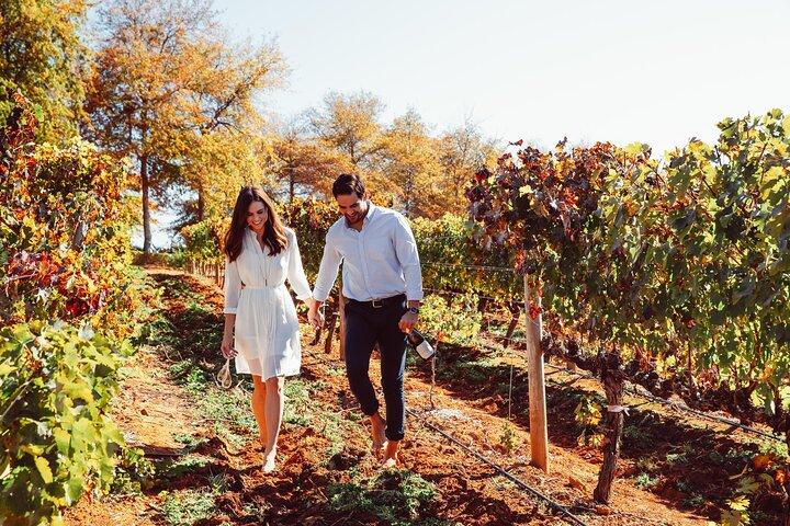 Visite privée des vignobles du Cap à Stellenbosch et Franschhoek