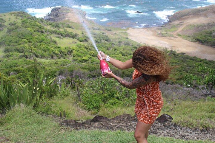 Saint Lucia Tour Privado do Norte