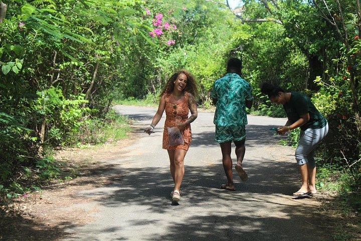 Saint Lucia privat norra turné