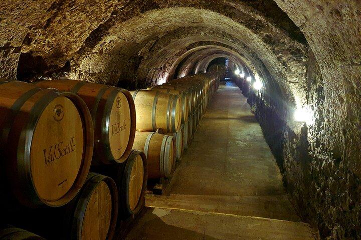 Ribera del Duero : 4 Weingüter, Verkostung & Mittagessen inklusive aus Madrid