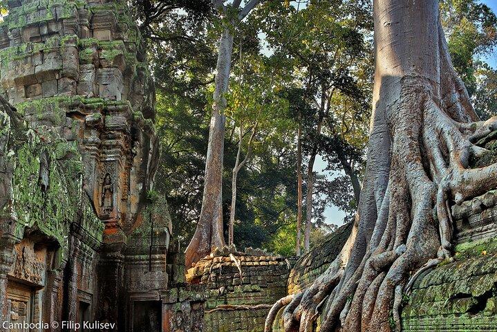 Angkor Wat Sunrise Small Group Experience