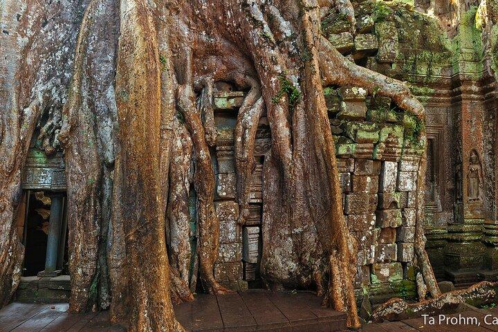 Angkor Wat Sunrise Small Group Experience