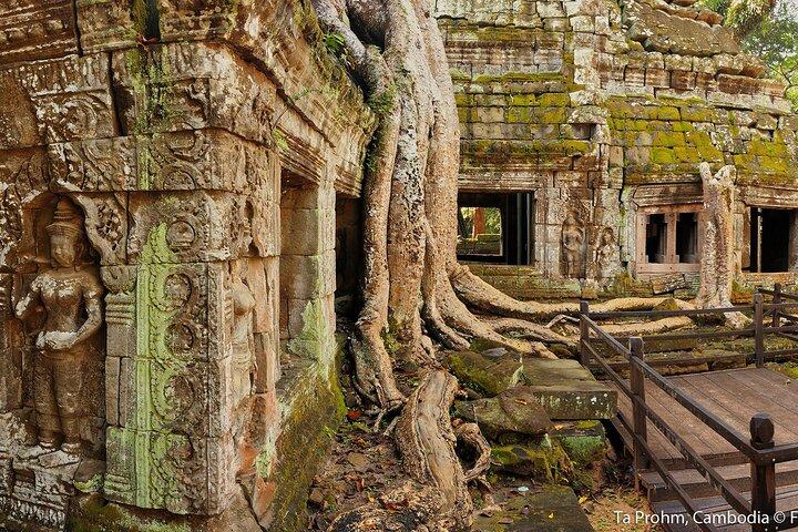 Angkor Wat Sunrise Small Group Experience