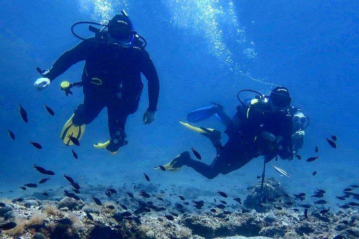 スプリットでスキューバダイビングに挑戦 : 初心者のための少人数体験