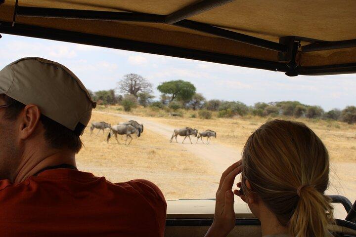 Heldags Ngorongoro Crater privat tur