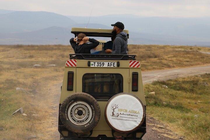 Heldags Ngorongoro Crater privat tur