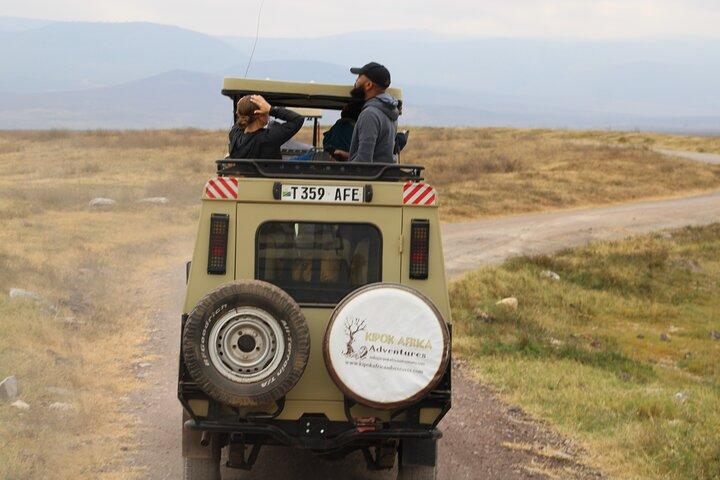 Heldags Ngorongoro Crater privat tur