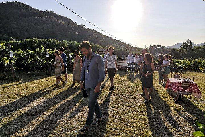 Toscaanse wijntour in Lucca per bus