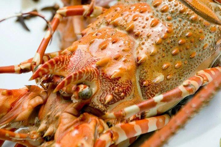 ジョザニの森、クザ洞窟、ザ ロック レストラン、カエ ファンク ビーチ パーティーを体験
