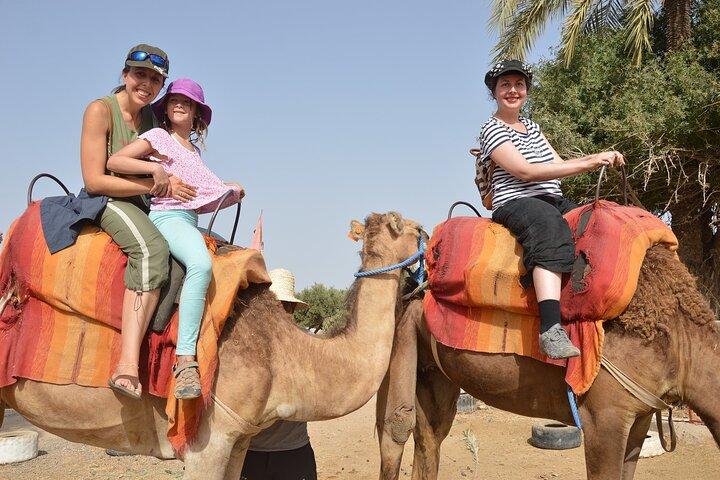 Sunset Camel Ride in Agadir With Hotel Pick up and Drop off