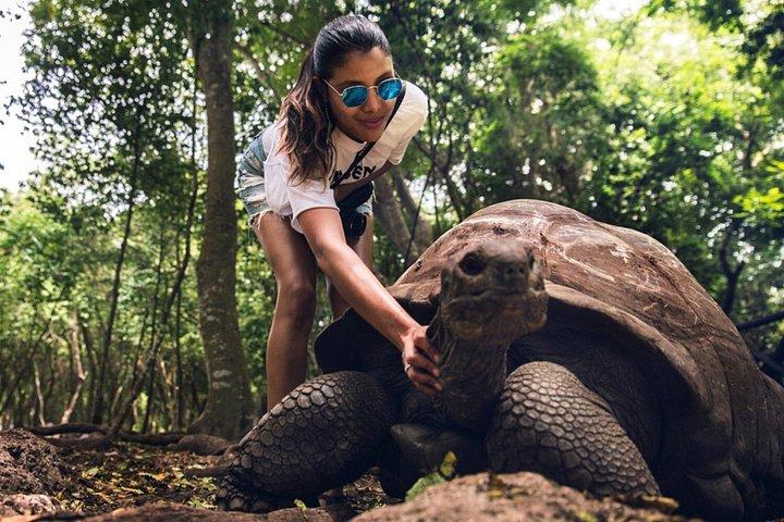サンドバンクピクニックでプリズンアイランドに脱出し、夕日を眺める
