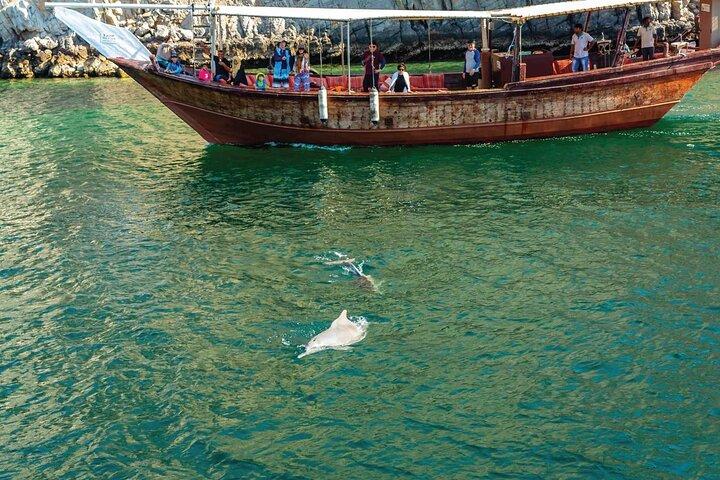 Dolphin Watching Cruise från Muscat