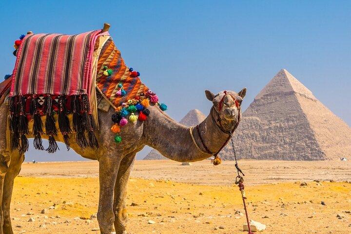 プライベートツアー：ハルガダからのカイロ日帰り旅行、ギザピラミッド、スフィンクス、エジプト博物館