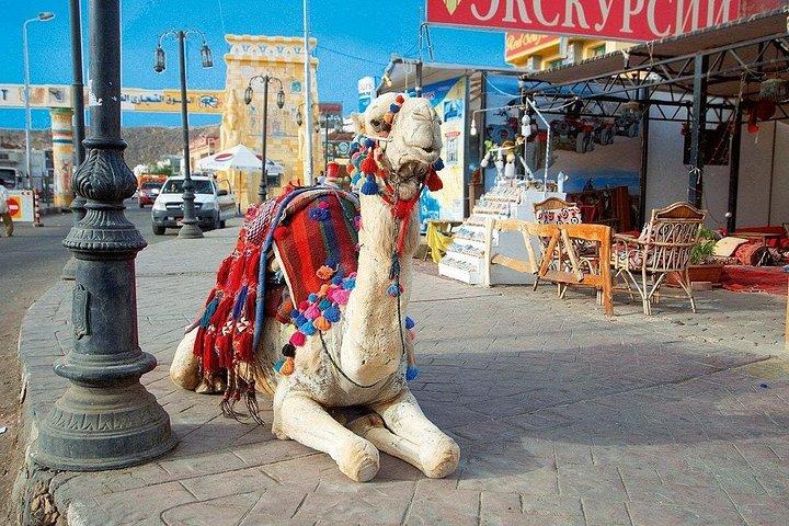 Sightseeing Tour Visit Islamic And Coptic Attractions In Sharm El Sheikh