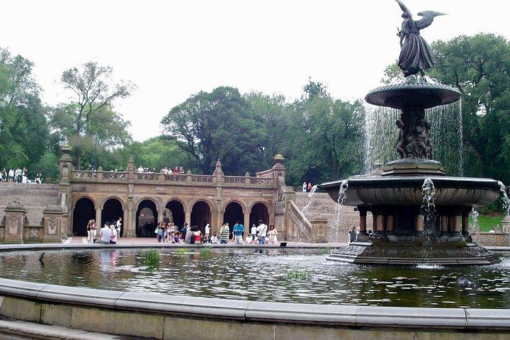 セントラル パークと 5 番街のウォーキング ツアー