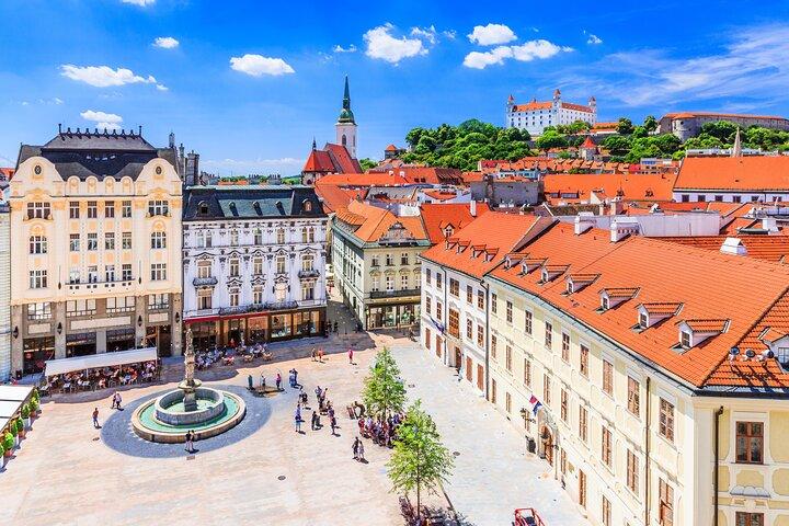 Wien: Bratislava-dagstur med privat guide og transport