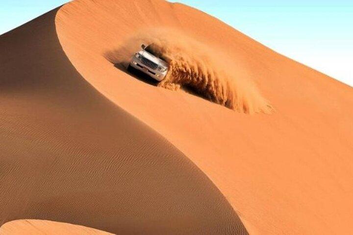 リワ砂丘：アブダビから終日4×4サファリアドベンチャー