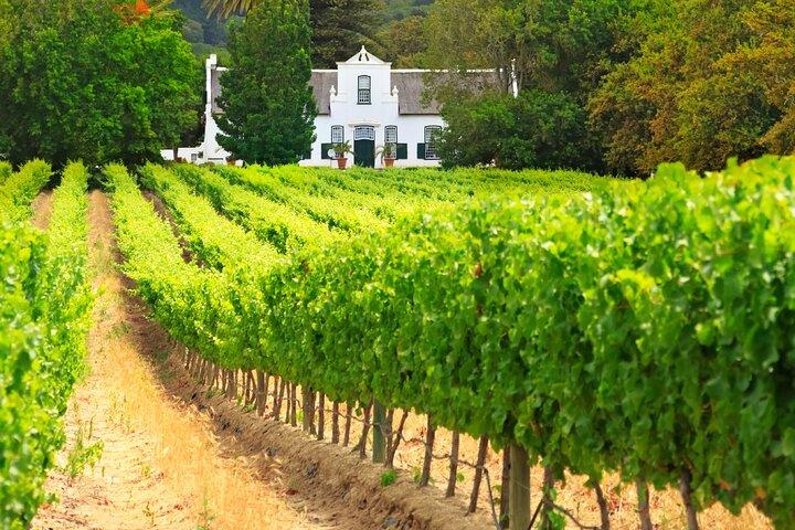 Cape Town Chauffeur Full Day