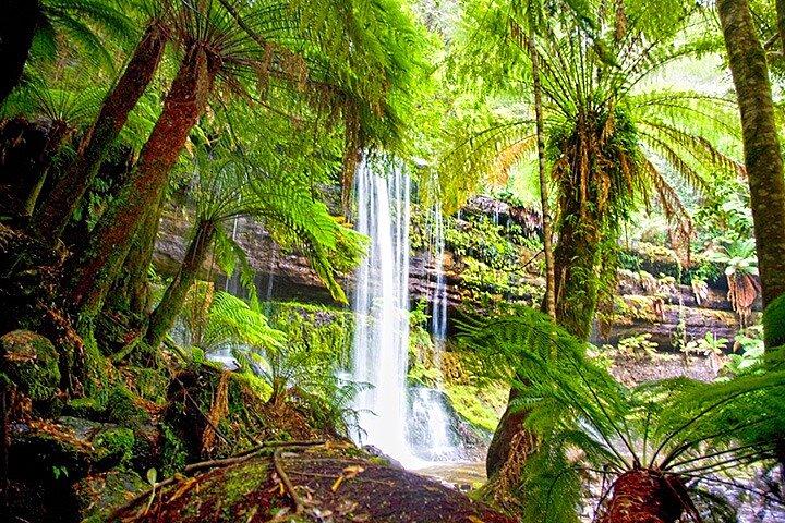 Mt Field National Park e Russell Falls da Hobart