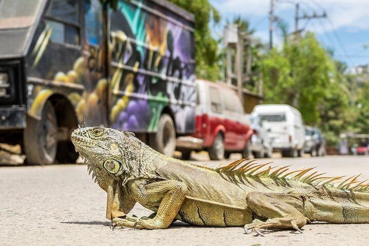 Sayulita Beach dagsutflykt från Puerto Vallarta