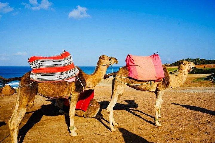 Tangier’s sightseeing Daytour