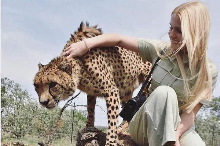 4日間タンザニアサファリタランギーレ、セレンゲティとンゴロンゴロクレーター