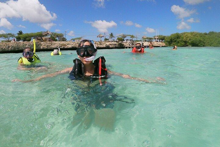 Snorkelen met kleine groepen bij Mangel Halto Aruba