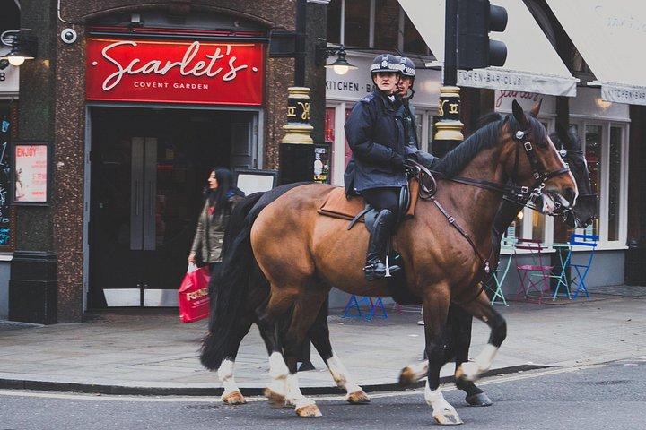 Privéchauffeur rondleiding door Londen