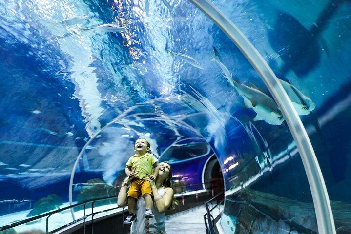 アクアリオ、博物館、オリンピコ大通り、観覧車、交通機関、ツアーガイド。