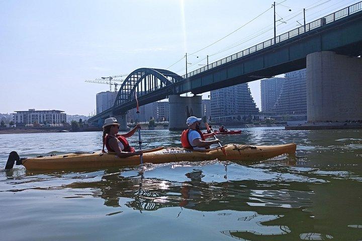 ベオグラードの橋の下でカヤック