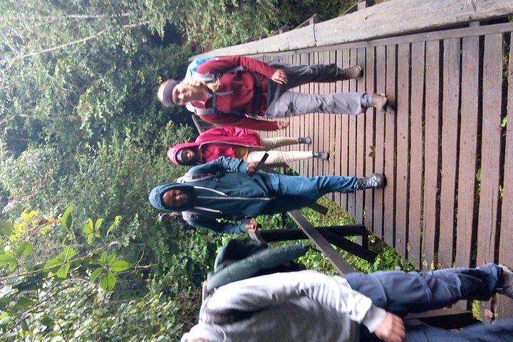 Kilimanjaro-dagwandeling in de bergen