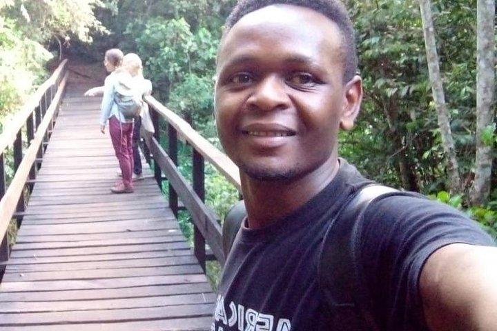 Kilimanjaro-dagwandeling in de bergen