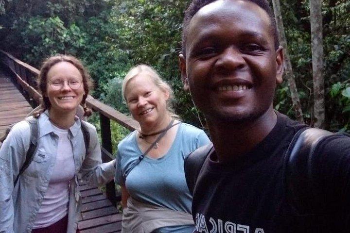 Kilimanjaro-dagwandeling in de bergen