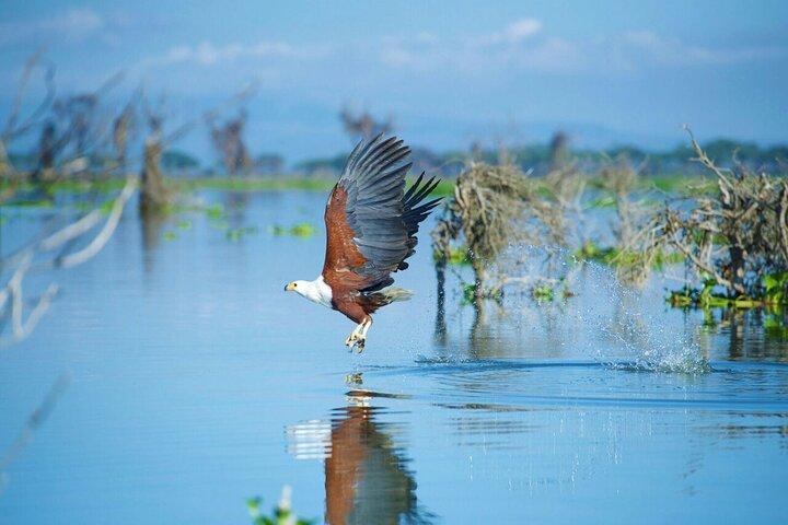 10 Tage Private Flitterwochen Kenia Safari und Strand