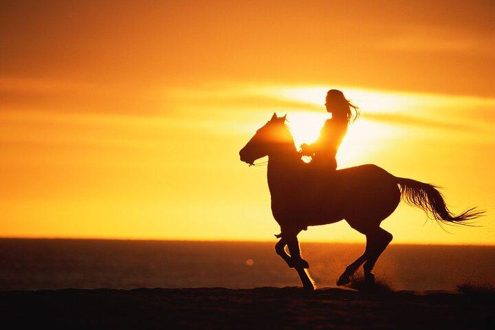 Sunset Beach Horseback Riding