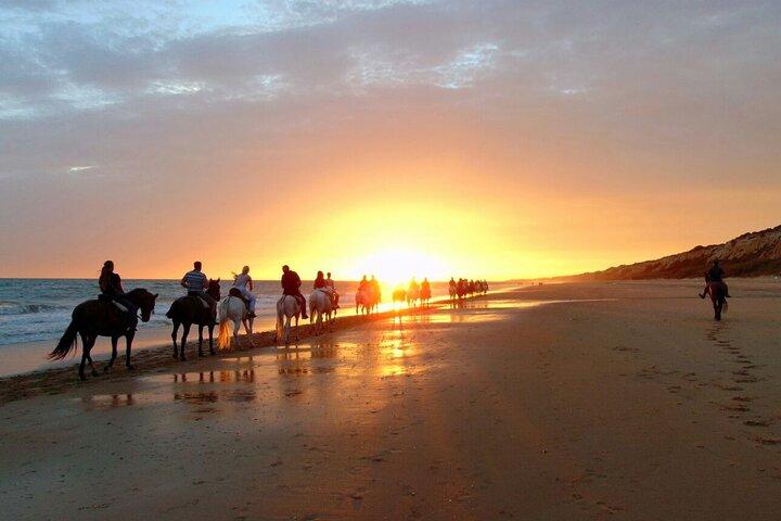 Sunset Beach Horseback Riding