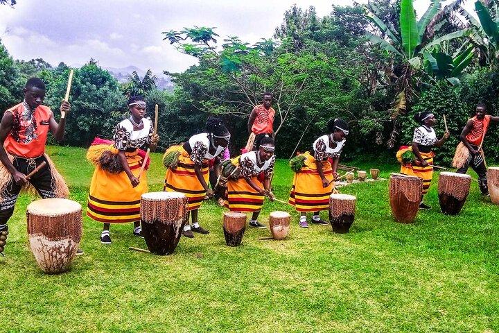 11 Days Uganda +Gorillas