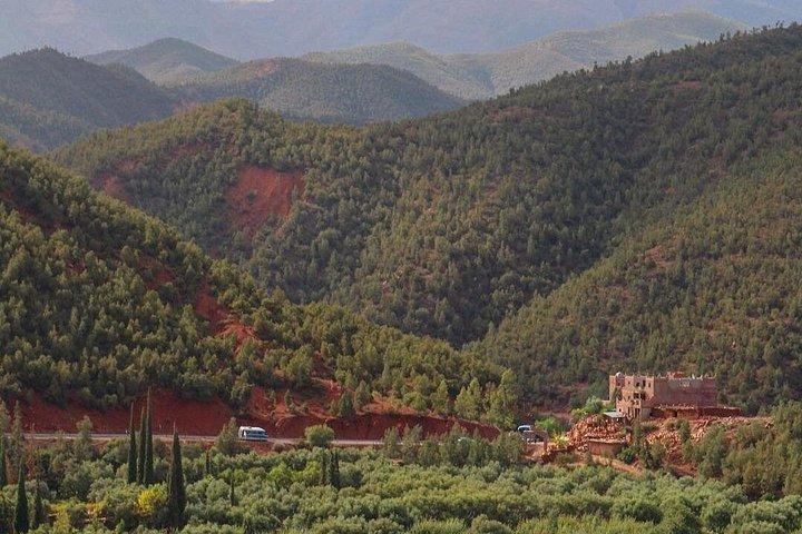 Private High Atlas Mountains Tour: Fulddags eventyr