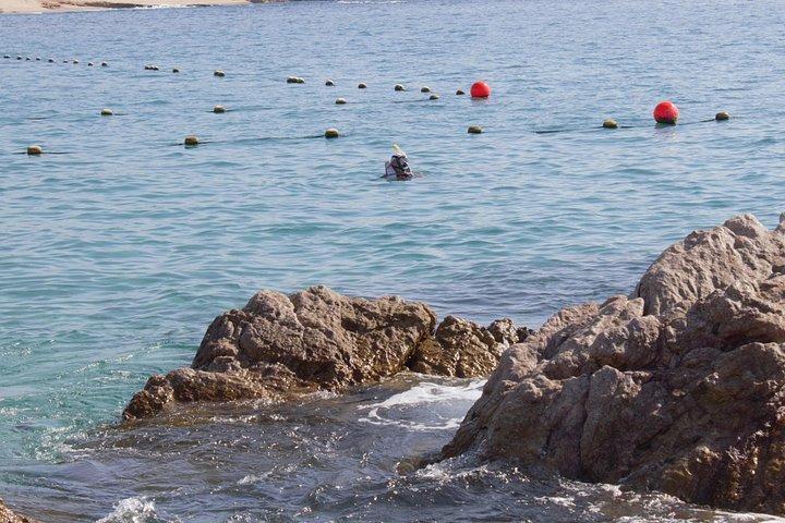 コルテス海での忘れられないシュノーケリング体験