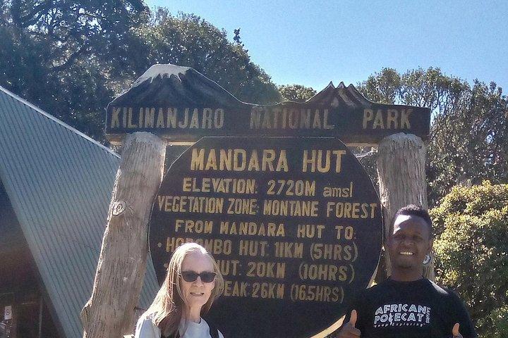 Kilimanjaro-dagwandeling in de bergen
