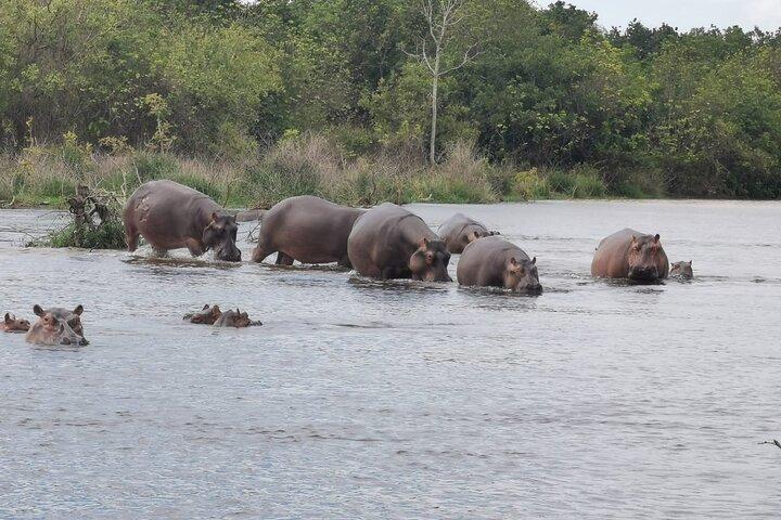 3 Days Murchison falls park Uganda