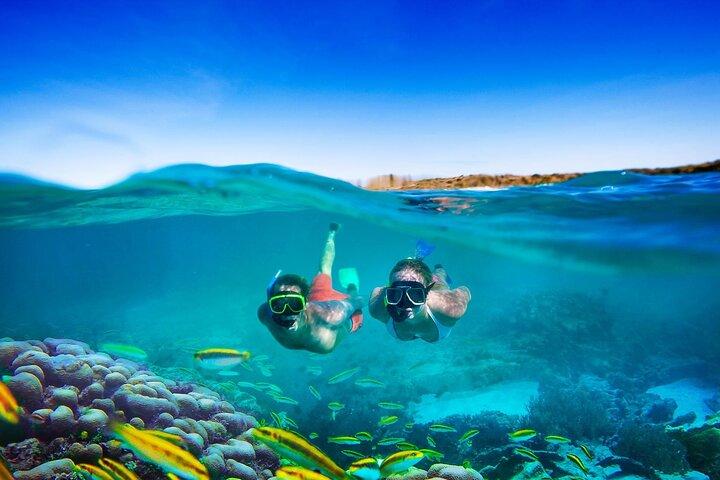 Negril Seven Miles Beach, snorkling, bådtur, Ricks Cafe Combo