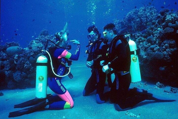 Marmaris e Icmeler 6 horas de buceo