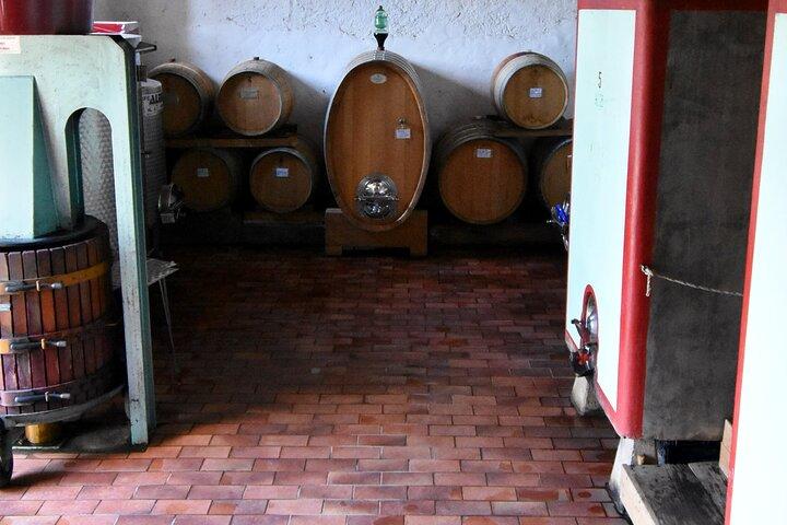 Privat Chianti vintur