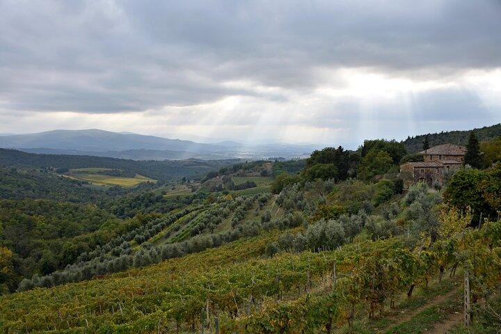 Privat Chianti vintur