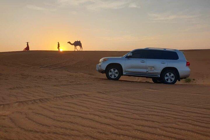 Big Red Dunes Wüstensafari in Dubai mit Kamelritt, Live-Shows und BBQ-Dinner