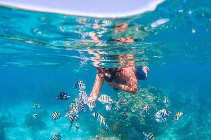 Catalina Island & Snorkling Tour Full Day All Inclusive